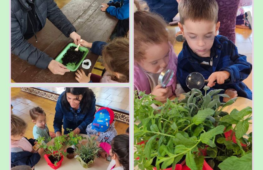 Εκδρομή στον Λυχνοστάτη 🌱