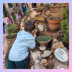 IMG-a3e9c0c4f4c9681685e21adee9f65766-V-300x300