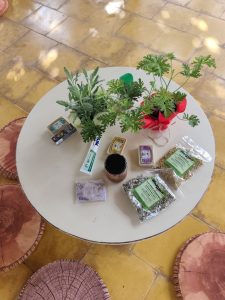 IMG-db0387069f6acdd7f9518ec3d2fb1b4c-V-225x300