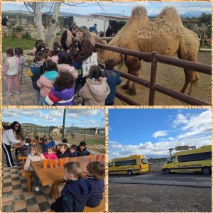 MixCollage-26-Feb-2026-02-07-PM-2061-300x300