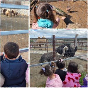 MixCollage-26-Feb-2026-02-11-PM-4611-300x300