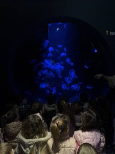 645114232_1436766778245148_6306682749254922662_n-225x300