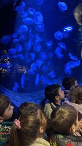 645219033_1436767124911780_6885258964024321501_n-169x300