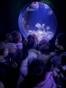 646464329_1436767181578441_985500355436523843_n-225x300