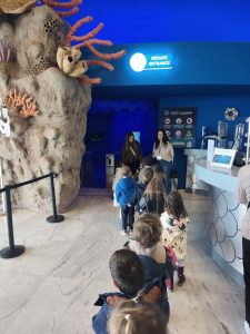 647076430_1436767078245118_5551600576941901362_n-225x300