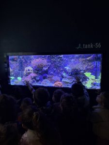 648091401_1436766838245142_8671762792349470610_n-225x300