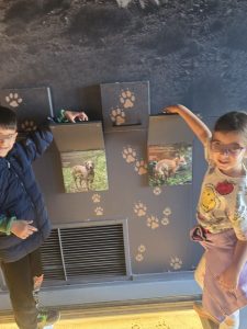 IMG-6aaac3a212444451a66c66ddfd5418cf-V-225x300