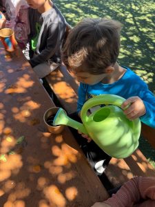 FB_IMG_1781594596079-225x300