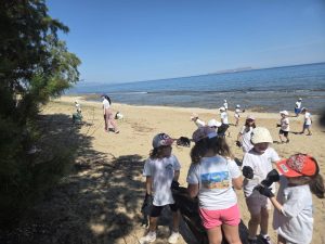 IMG-a8b07ed6b9c7bc20676b16d191e28983-V-300x225